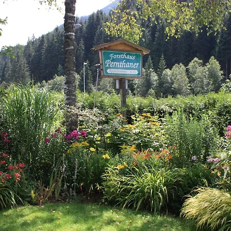 Forsthaus Pernthaner アパート *